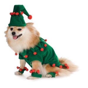dog Christmas costumes
